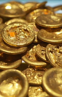 The Coin Collection - bộ sưu tập tiền xu