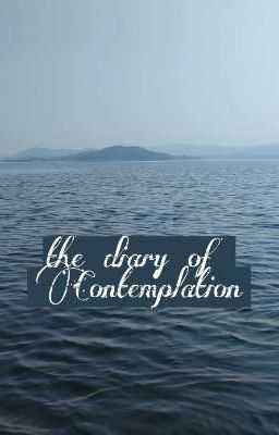 The Diary Of Contemplation