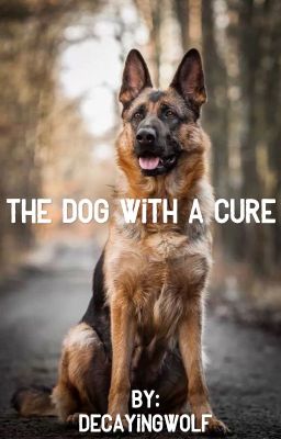 The Dog With A Cure