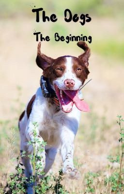 The Dogs: The Beginning