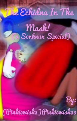 The echidna in the mask (A sonknux special)