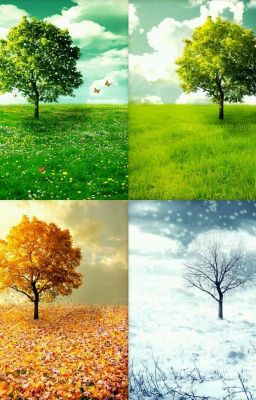 The Elements of the Seasons