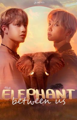 The Elephant Between Us || SKZ