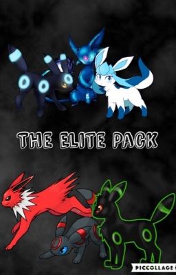 The Elite Pack