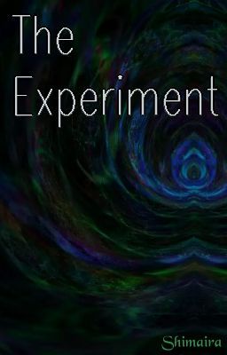 The Experiment