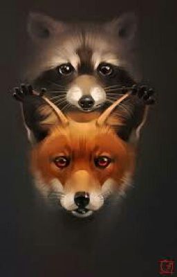 The Fox And The Raccoon