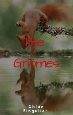 The Gnomes