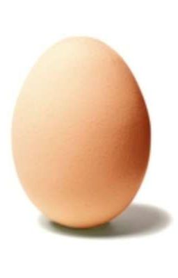 The God Egg