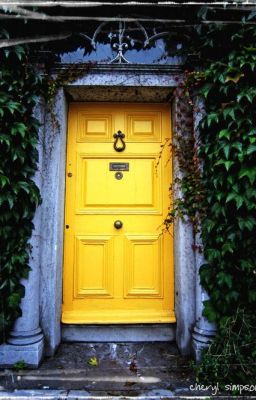 The Golden Door