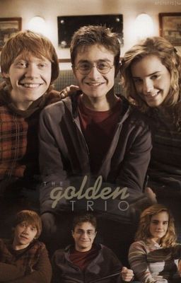 The Golden Trio  X Reader