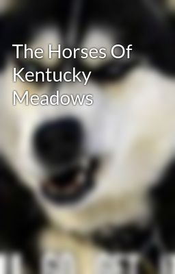 The Horses Of Kentucky Meadows