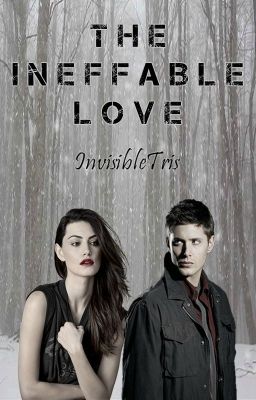 The Ineffable Love [On Hold]