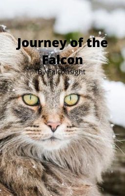 The Journey of the Falcon