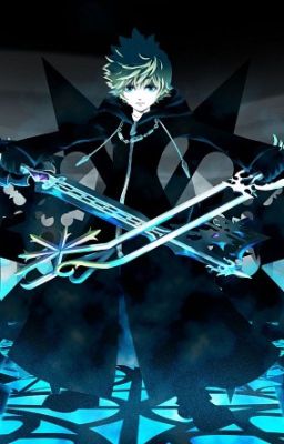 The Key of Destiny (HDN x Male Roxas Reader)