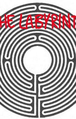 The Labyrinth (On Hold)