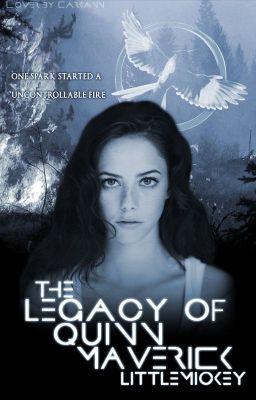 The Legacy of Quinn Maverick | BOOK IV