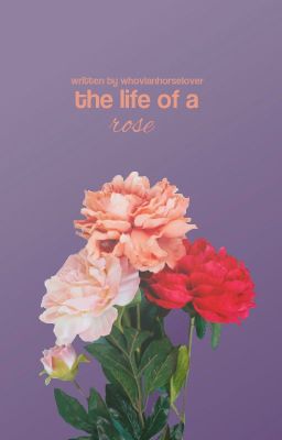 the life of a rose [version 3.0]