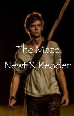 The Maze (Newt X Reader) Book 1 - complete 