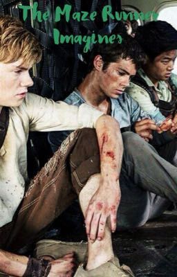 The Maze Runner Imagines {ON HOLD}