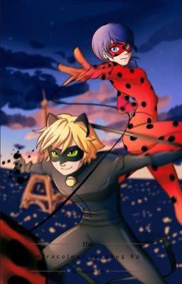 The Miraculous Ladybug Rp Book