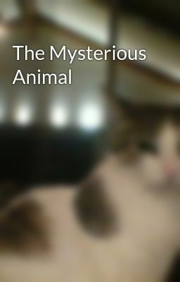 The Mysterious Animal