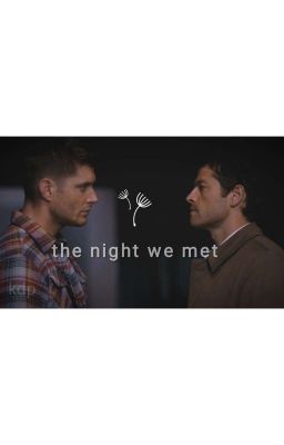 the night we met