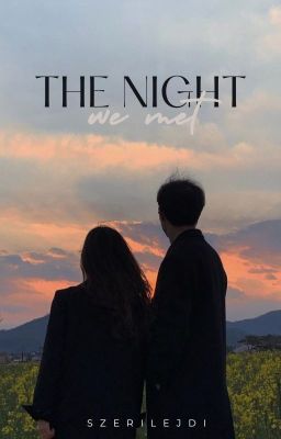 the night we met