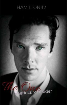 The One [Sherlock x Reader]