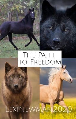 The Path to Freedom