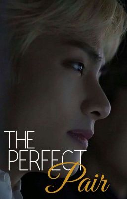 The Perfect Pair || taejin x yoonjin