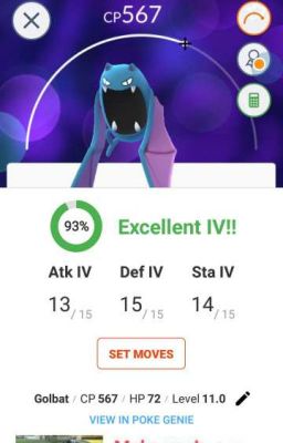 the quest for the 93% iv golbat