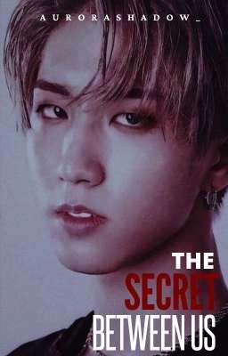 The secret between us | Han Jisung [Stray Kids] (0.1)