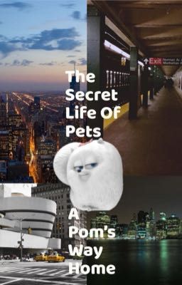 The Secret Life Of Pets:A Pom's Way Home