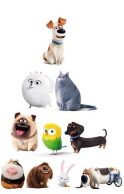 The Secret Life Of Pets: Characters Favorite Cracking Contraptions