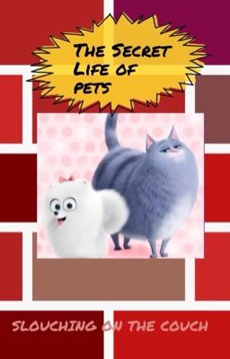 THE SECRET LIFE OF PETS:SLOUCHING ON THE COUCH 