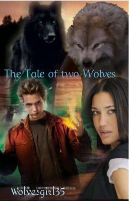 The Tale of two Wolves