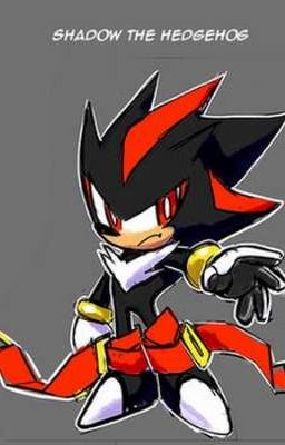 The Ultimate Kid ( Sonic Harem X Male Child Shadow Reader )