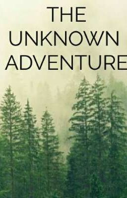 The Unknown Adventure