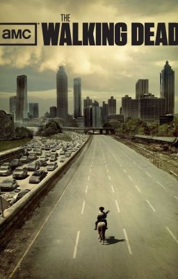 The Walking Dead: My Point Of View