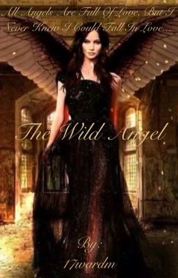 The Wild Angel