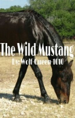 The Wild Mustang