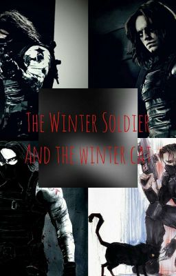 The Winter Soldier and the Winter Cat / (Avengers, Bucky Barnes FF)