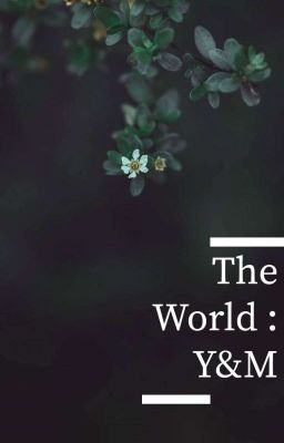 The World : Y&M 