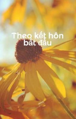 Theo kết hôn bắt đầu