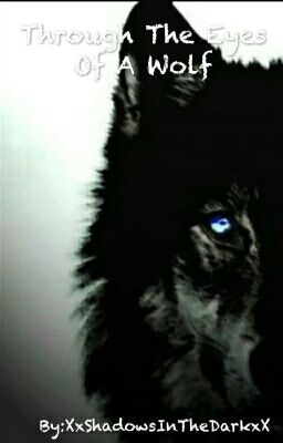 Through The Eyes Of A Wolf