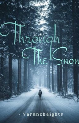 Through the Snow❄