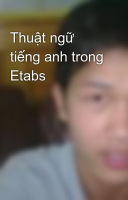 Thuật ngữ tiếng anh trong Etabs