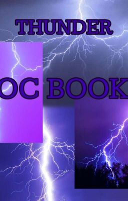 ⚡ Thunder ⚡ - OC book