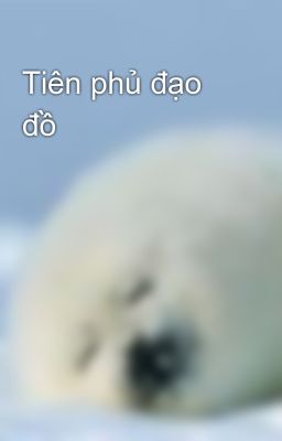 Tiên phủ đạo đồ