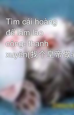 Tìm cái hoàng đế làm lão công- thanh xuyên(找个皇帝做老公)-unfull